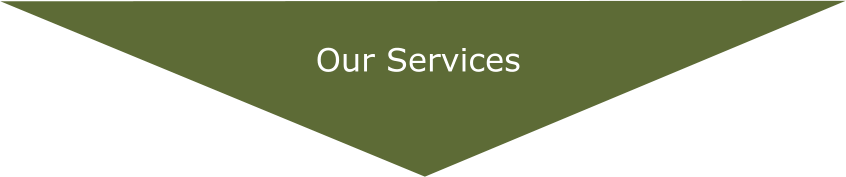 Our Services