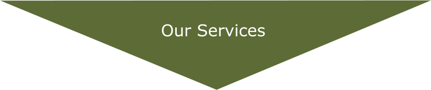Our Services