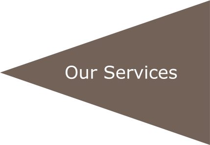 Our Services