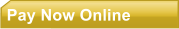 Pay Now Online