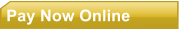 Pay Now Online